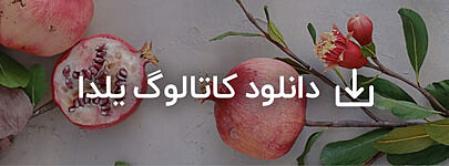 هدایای یلدای 1403